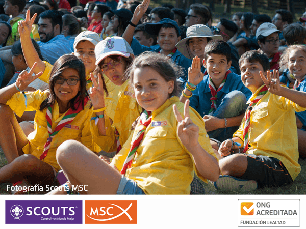 MSC Scouts renueva el Sello ONG Acreditada