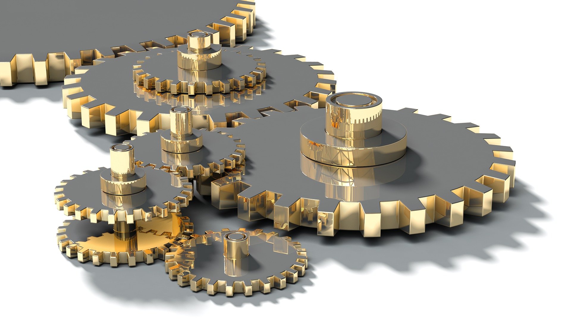 Espacio ONG En Mantenimiento Fundaci n Lealtad